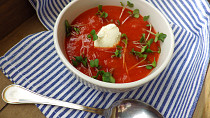 Tomatový krém s červenou čočkou, čerstvým sýrem a microbylinkami