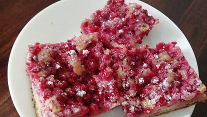 Rybízová bublanina-jednoduchá