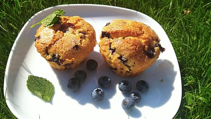 Hrníčkové borůvkové muffiny (bezlepkové), Výborné