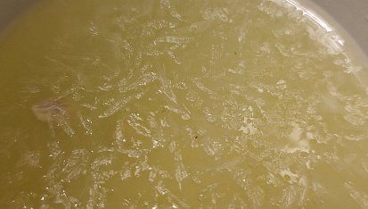 Medovo - citronový elixír, Skvělý medovo-citronový elixír