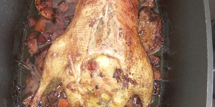 Divoká kachna s nádivkou na zeleninovém sospyré a červeném víně