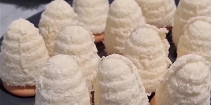 Vosí hnízda kokosová