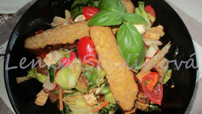 Vegetariánský salát se smaženým tofu