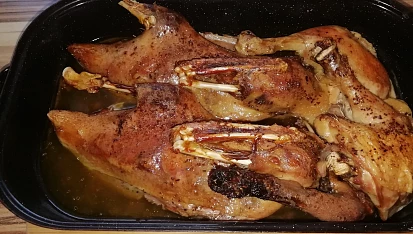 Pomalá kachna