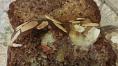 Banana bread - banánový chlebíček