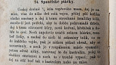 Španělské ptáčky II (Španělské ptáčky podle Magdaleny Dobromily Rettigové)