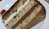 Vanilkovo-čokoládový dort (Vanilkovo-čokoládový dort na řezu)