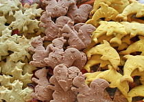 Zázvorové sušenky se vzorem