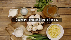 Žampiónová polévka