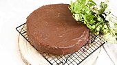 Sacher (Sachr dort)
