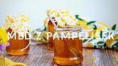 Med z pampelišek