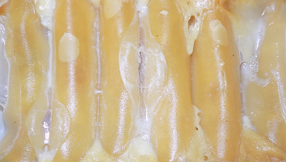 Sladké cannelloni plněné tvarohem