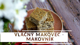 Vláčný makovec-makovník