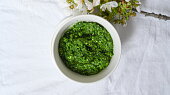 Pesto z medvědího česneku a vlašských ořechů