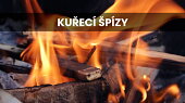 Kuřecí špízy