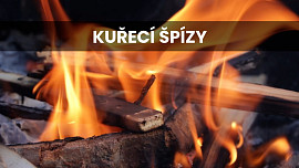 Kuřecí špízy