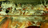 Brambory zapečené s lilkem, cibulí a rajčaty