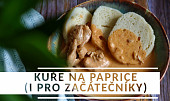 Kuře na paprice (i pro začátečníky)