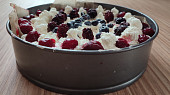 Dort Pavlova