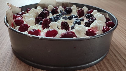 Dort Pavlova