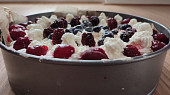 Dort Pavlova