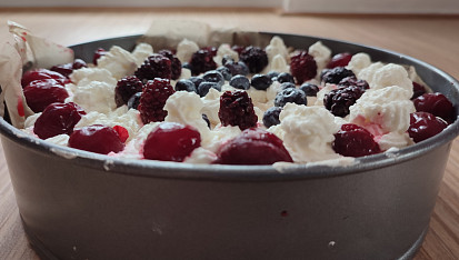Dort Pavlova