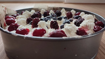 Dort Pavlova