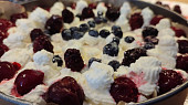 Dort Pavlova