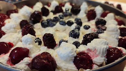 Dort Pavlova