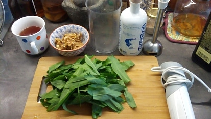 Pesto z medvědího česneku a vlašských ořechů, Jdu na to - příprava.