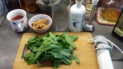 Pesto z medvědího česneku a vlašských ořechů, Jdu na to - příprava.