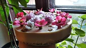 Zdravý vegan (narozeninový) cheesecake