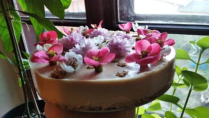 Zdravý vegan (narozeninový) cheesecake