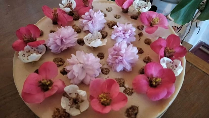Zdravý vegan (narozeninový) cheesecake