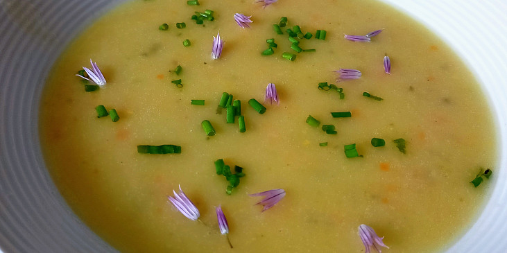 Mrkvovo - kukuřičná polévka s pažitkou