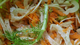 Fenyklovy salat s mrkvi