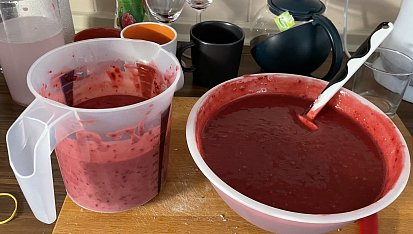 Angreštové nanuky, Takto to vypadá po rozmixování všech ingrediencí