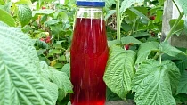 Malinový sirup II