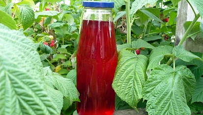 Malinový sirup II
