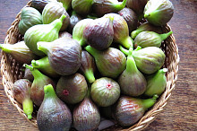 dnešní úroda cca 3,3 kg - 54 ks