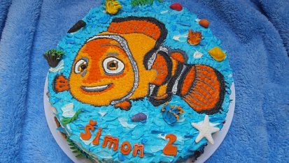 Piškotový dort, Nemo