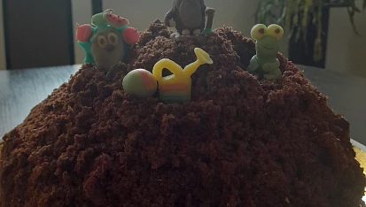 Domácí krtkův dort