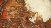 Mole con pollo