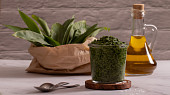 Pesto z medvědího česneku