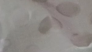 Kokosový kmen, Druhá varka