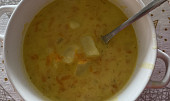 Mrkvová polévka (Moc dobrá!)