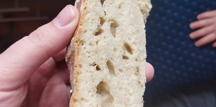 Rozkrajeny chléb ze špaldove mouky. Nejde celé foto
