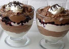 Pudinkovo-čokoládový pohár s borůvkami