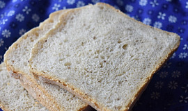 Jednoduchý chléb pro začátečníky (světlý)