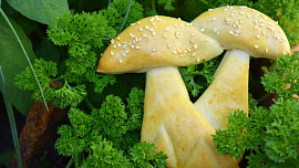 Hříbky, houby z kynutého těsta
